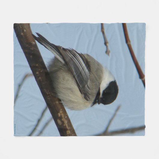 Couverture Polaire B21 Pickadee à capuchon noir (Devant (Horizontal))