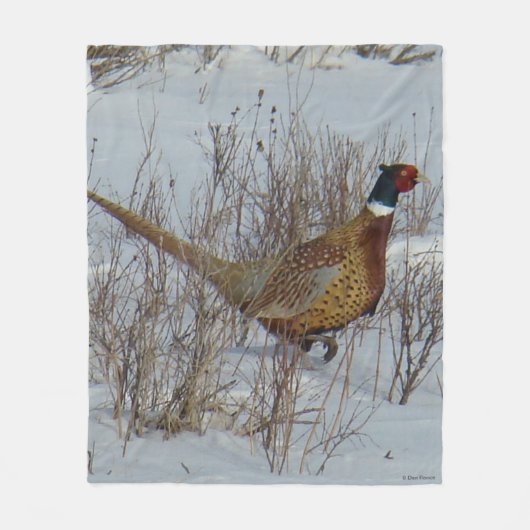 Couverture Polaire B23 Faisan à collier dans la neige (Devant)
