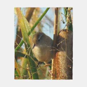 Couverture Polaire B3 Troglodyte des marais dans les quenouilles