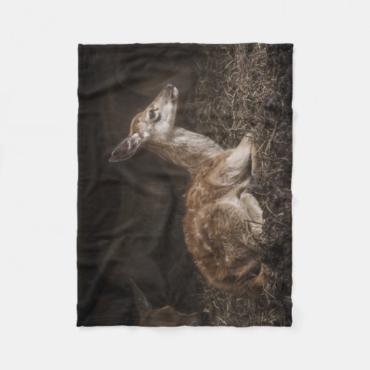 Couverture Polaire Baby Deer (Devant)