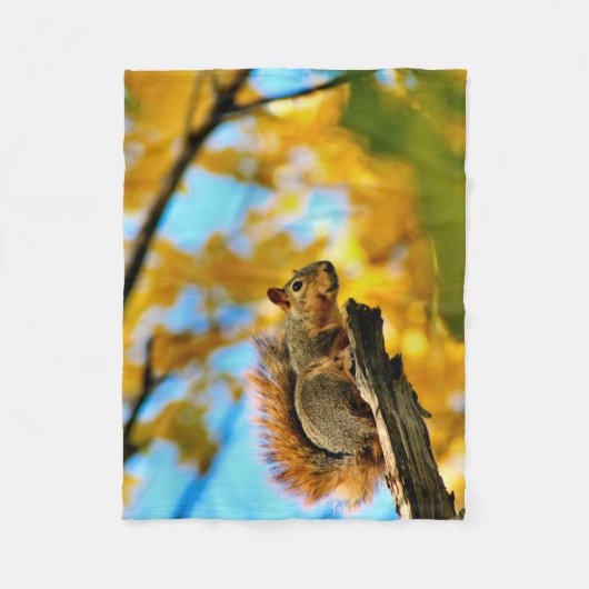 Couverture Polaire Baguette polaire (Devant)