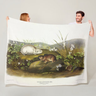 Couverture Polaire Baie d'Hudson (Collared Ungava) Lemming par Audubo
