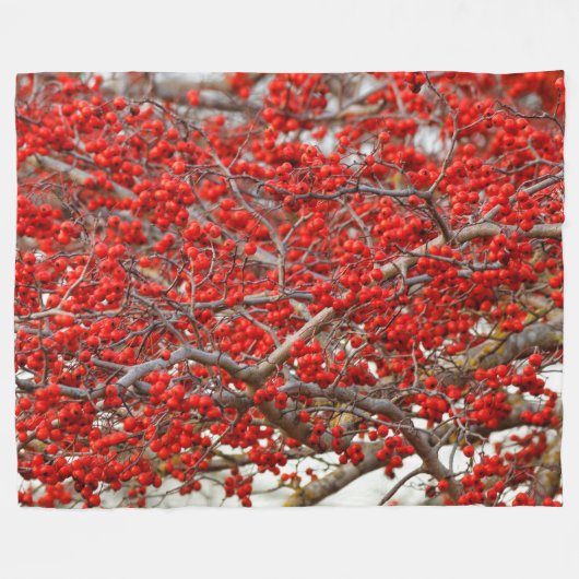 Couverture Polaire Baies d'hiver rouge vif Baies d'arbre blanc (Devant (Horizontal))
