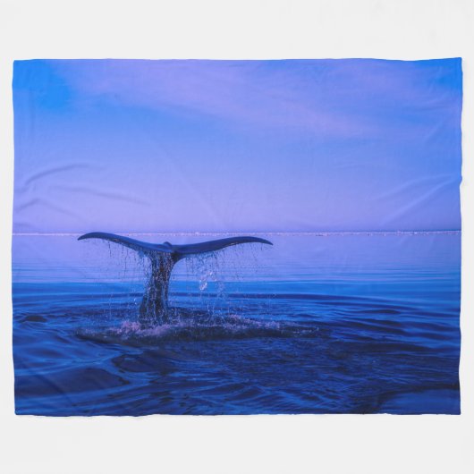COUVERTURE POLAIRE BALEINE D'UN TALE (Devant (Horizontal))