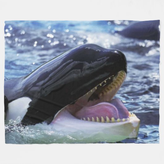 COUVERTURE POLAIRE BALEINE KILLER (Devant (Horizontal))