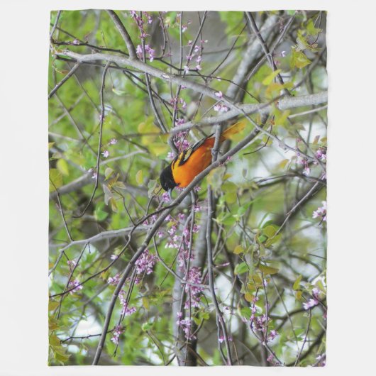 Couverture Polaire Baltimore Oriole (Devant)