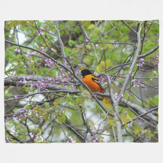 Couverture Polaire Baltimore Oriole (Devant (Horizontal))