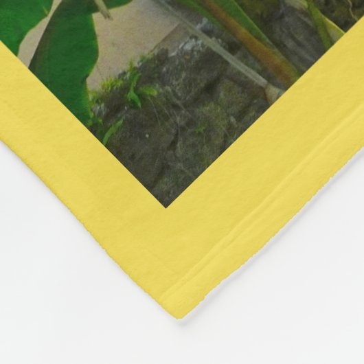 Couverture Polaire Banane tropicale Palm Tree St Augustine Floride (Coin)