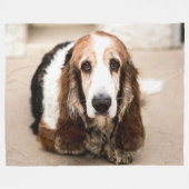 COUVERTURE POLAIRE BASSET HOOK (Devant (Horizontal))