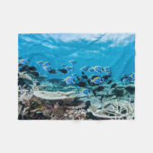 Couverture Polaire Beaches tropicales | Sturgeon (Devant (Horizontal))