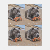 Couverture Polaire "Beachside Pals : A Staffy and its Crab Companion" (Devant)