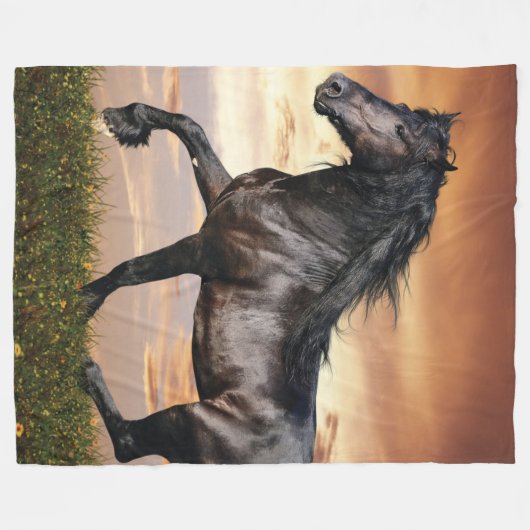 Couverture Polaire Beau Cheval Noir (Devant (Horizontal))