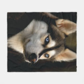 Couverture Polaire Beau Oreiller Husky Lrow (Devant (Horizontal))