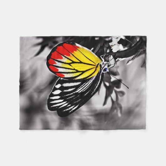 Couverture Polaire Beau Papillon (Devant (Horizontal))
