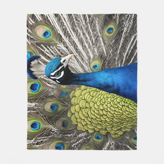 Couverture Polaire Beau Peacock (Devant)