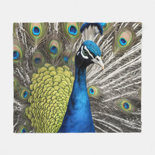 Couverture Polaire Beau Peacock