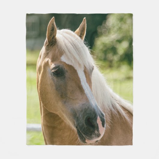 Couverture Polaire Beau portrait de cheval de haflinger (Devant)