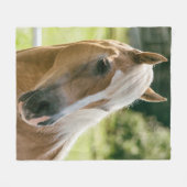 Couverture Polaire Beau portrait de cheval de haflinger (Devant (Horizontal))