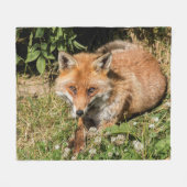 Couverture Polaire Beau renard rouge (Devant (Horizontal))