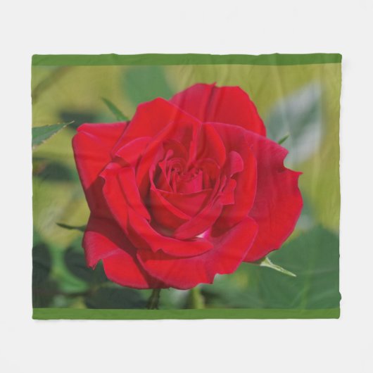 Couverture Polaire Beauté de rose rouge (Devant (Horizontal))