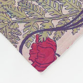 Couverture Polaire Beauté dormante, Art de couverture, Van Caspel (Coin)