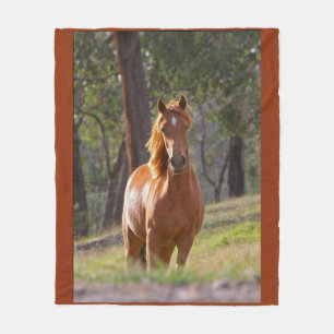Couverture Polaire Beauté du cheval