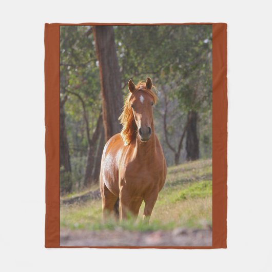 Couverture Polaire Beauté du cheval (Devant)