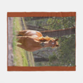 Couverture Polaire Beauté du cheval (Devant (Horizontal))