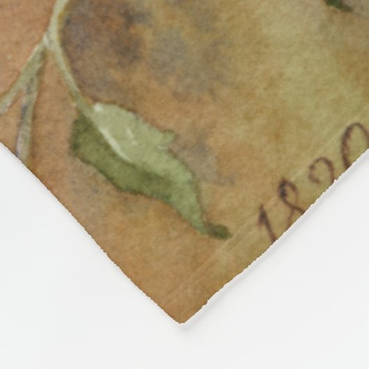 Couverture Polaire Beautés antiques I (Coin)