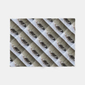 Couverture Polaire Beautés dormantes (Devant (Horizontal))