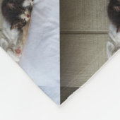 Couverture Polaire Beautés dormantes (Coin)