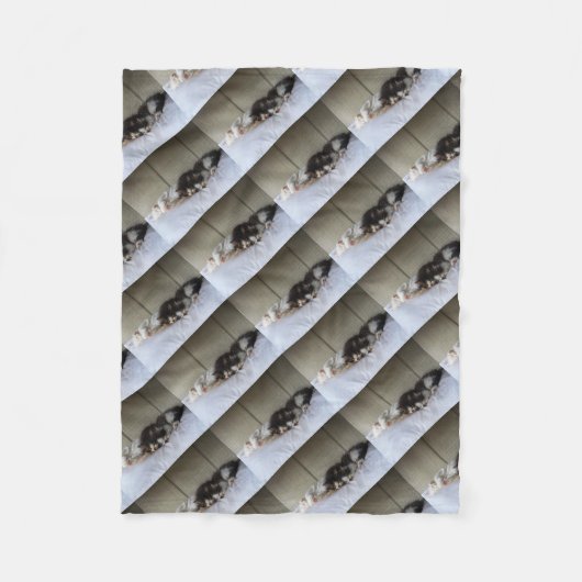 Couverture Polaire Beautés dormantes (Devant)