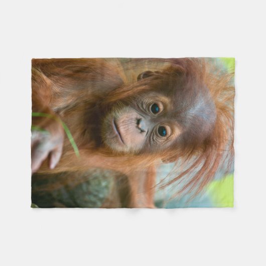 Couverture Polaire Bébé Orangutan, face à face (Devant (Horizontal))