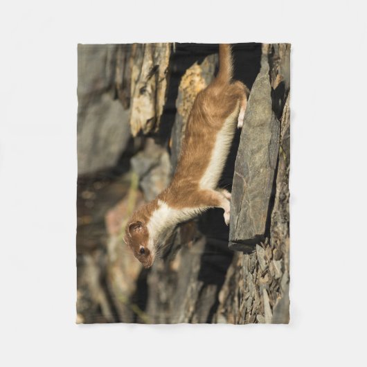 Couverture Polaire Belette de chasse (Devant)