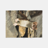 Couverture Polaire Belette vigilante (Devant (Horizontal))