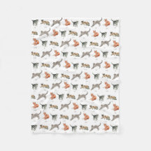 Belle Blanche-Toison pour chats