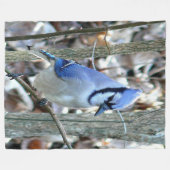Couverture Polaire Belle Jay Bleu (Devant (Horizontal))