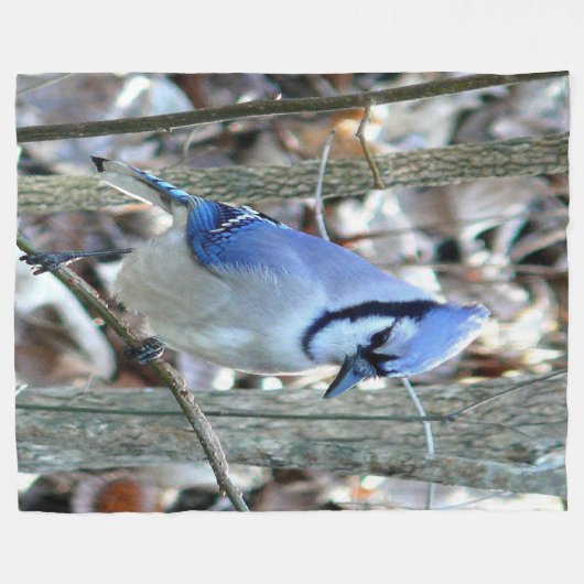 Couverture Polaire Belle Jay Bleu (Devant (Horizontal))