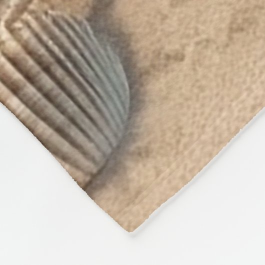 Couverture Polaire Belle Plage (Coin)