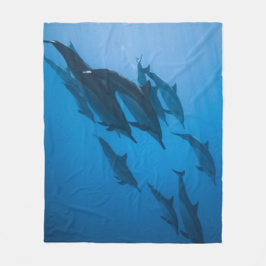 Couverture Polaire Belles Créatures Océaniques (Devant)