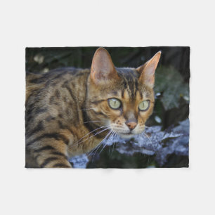 Couverture Polaire Bengale magnifique chat