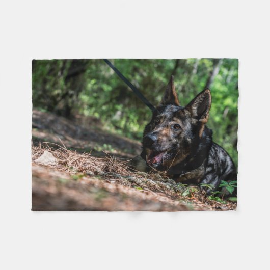 Couverture Polaire Berger allemand se reposant à la nuance (Devant (Horizontal))