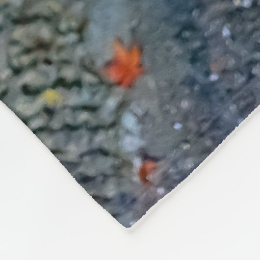 Couverture Polaire Bernhadine (Coin)