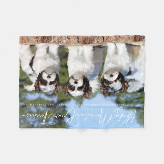 Couverture Polaire Bieware Terrier Blanket (Devant (Horizontal))