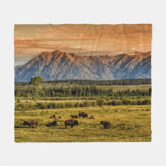 Couverture Polaire Bison au lever de soleil (Devant (Horizontal))