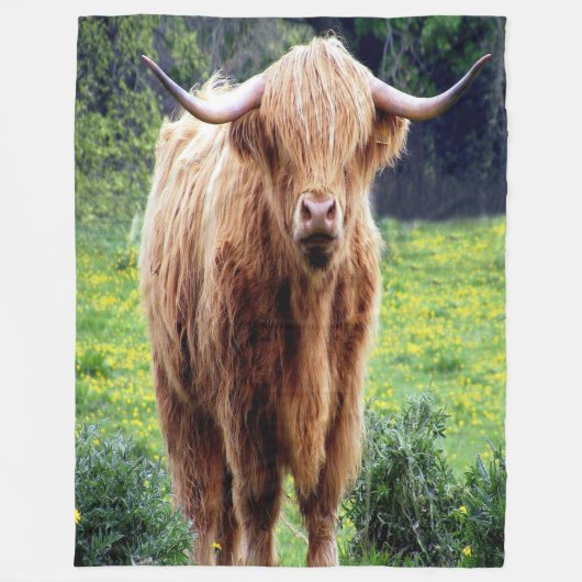 Couverture Polaire Bison magnifique (Devant)