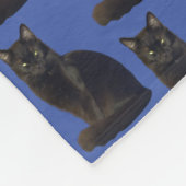 Couverture Polaire Black Cat Staring Ominy Photo Cutout Bleu (Coin)
