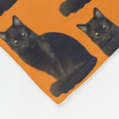 Couverture Polaire Black Cat Staring Ominy Photo Cutout Orange (Coin)