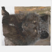 COUVERTURE POLAIRE BLACK WOLF (Devant (Horizontal))