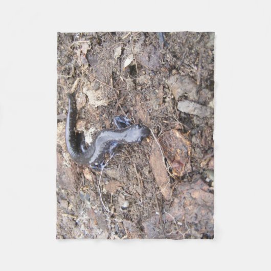 Couverture Polaire Blanche en polaire de Salamander (Devant)